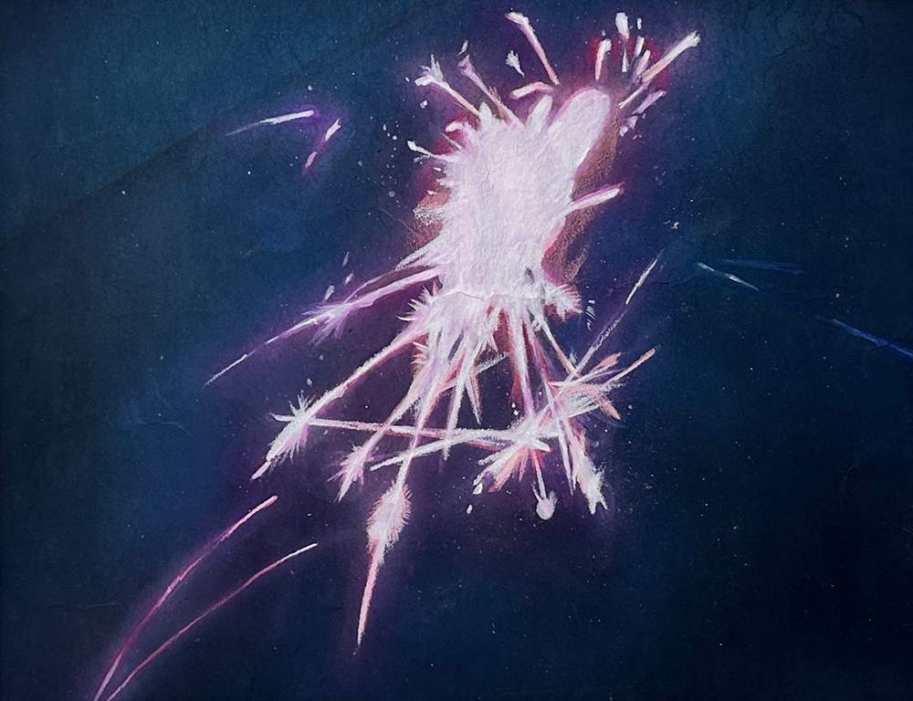 내 꿈은 불꽃이었다