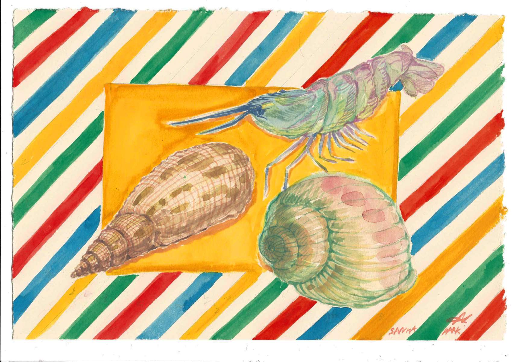 stripe sea collection