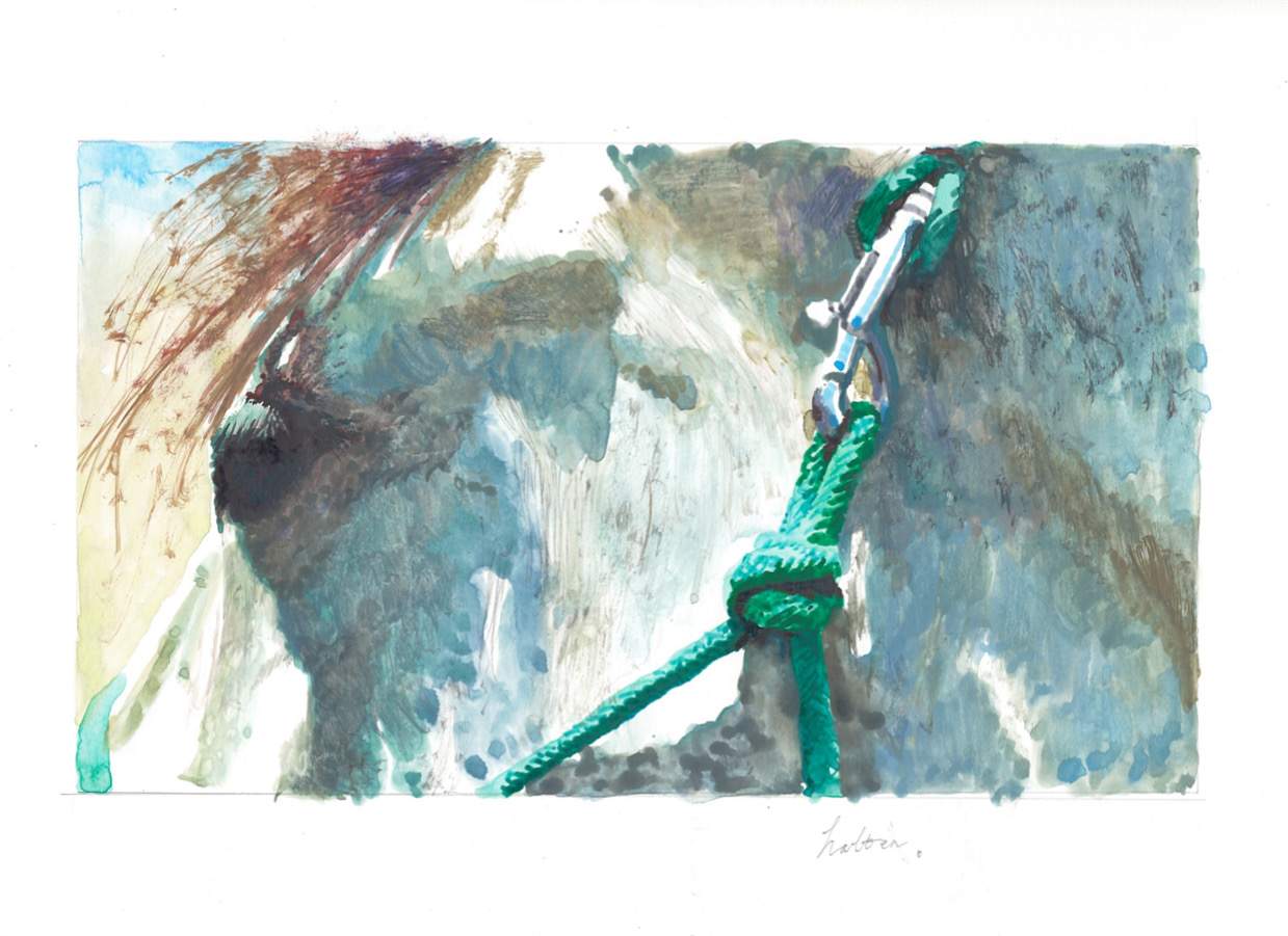 Halter