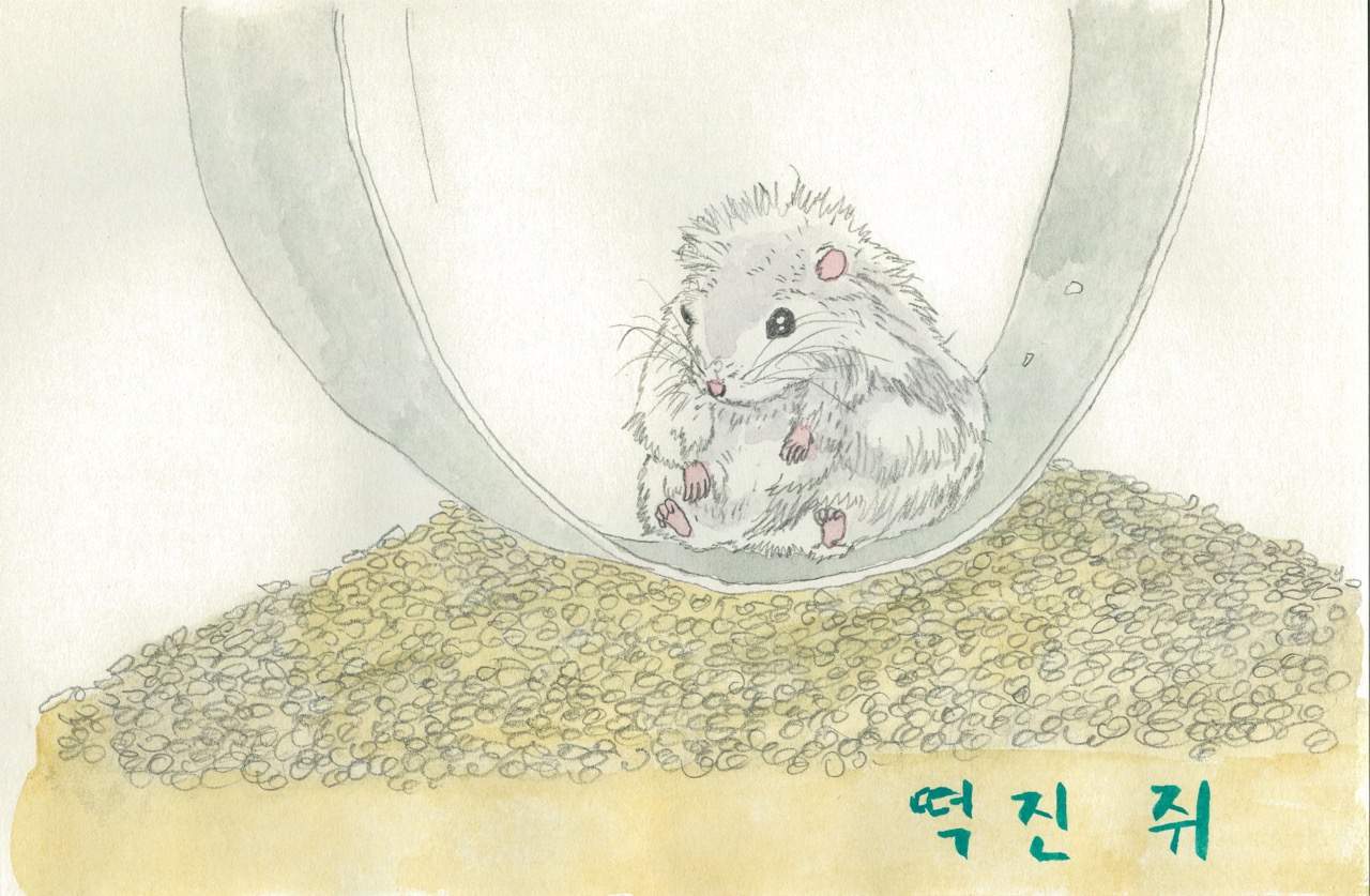 햄스터 (떡진 쥐)