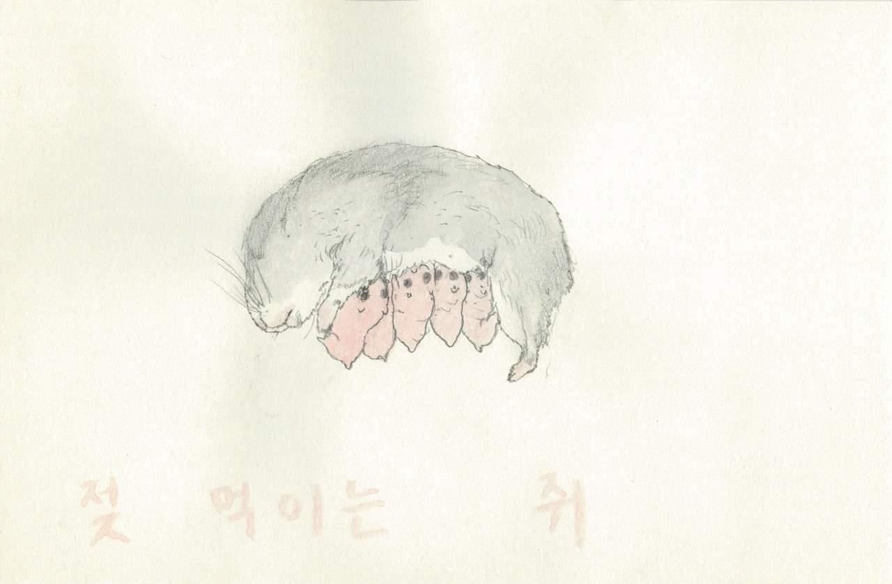 햄스터(젖 먹이는 쥐)