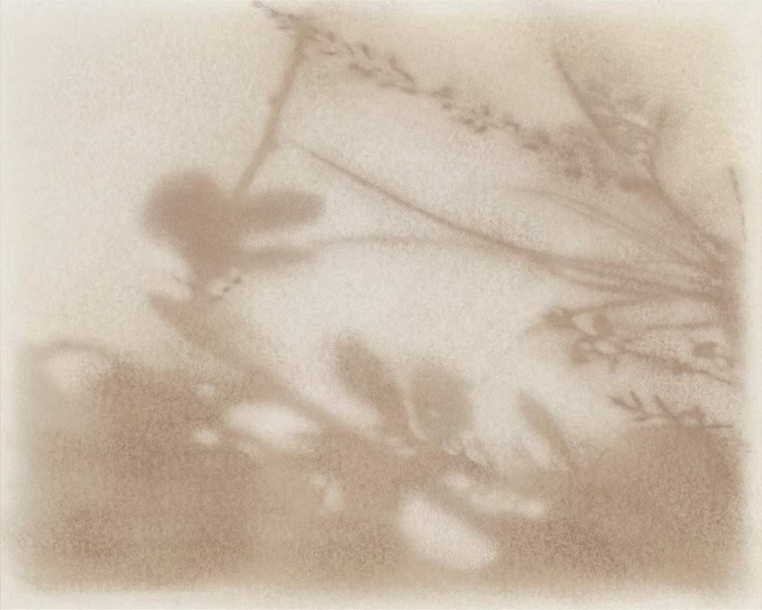 sample-art-work-image