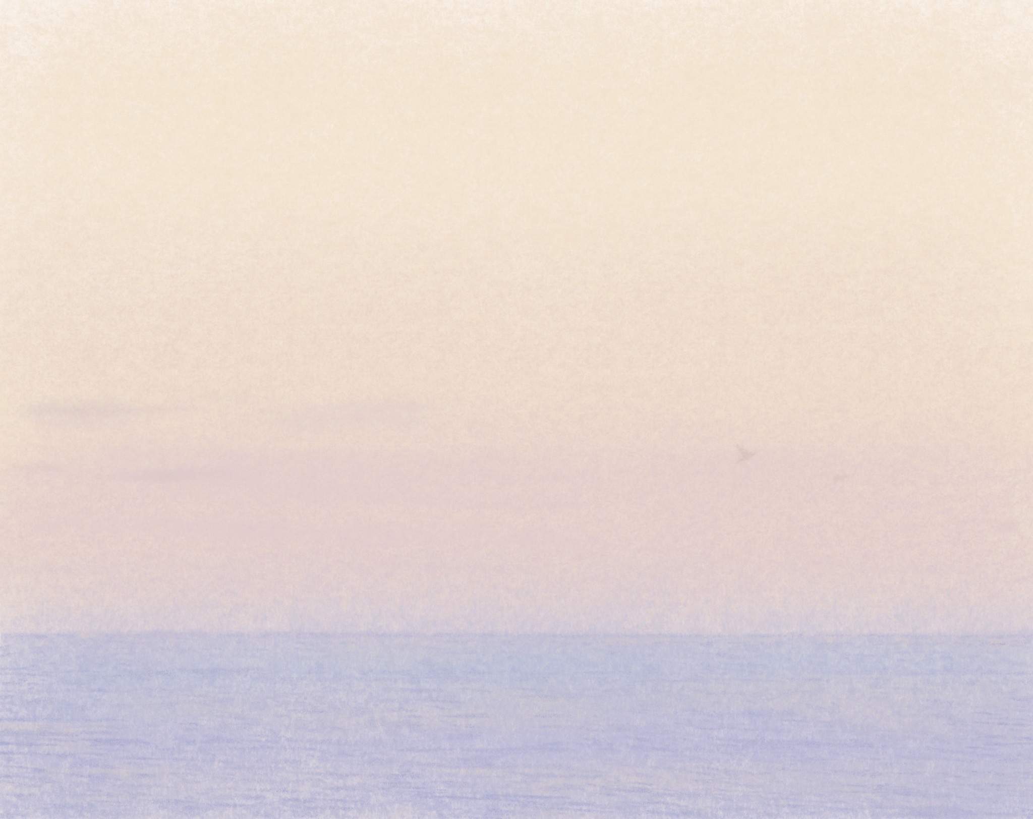Fields Of The Sea